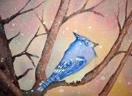 BlueJayInTheSnow